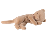 Sleeping Kitten: Cream Peach