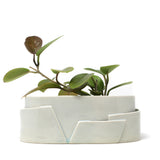 Oval Tiered Planter: Large