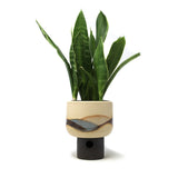 Landscape Planter: Medium #1