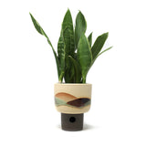 Landscape Planter: Medium #2