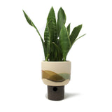 Landscape Planter: Medium #3