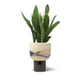Landscape Planter: Medium #5