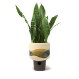Landscape Planter: Medium #6