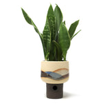 Landscape Planter: Medium #9