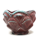 Lotus Bowl