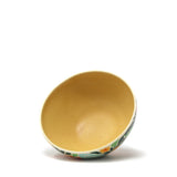 Small Bowl: Salamanders