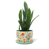 Large Planter: Mushrooms