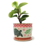 Small Planter: Frog / Turtle