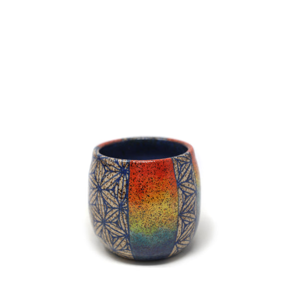 Rainbow Cup