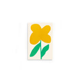 Notepad: Oxalis