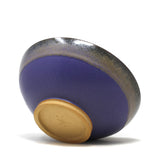 Blue / Tan Serving Bowl