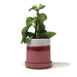 Small Planter: Pink